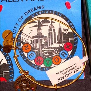Alex and Ani New York City bracelet